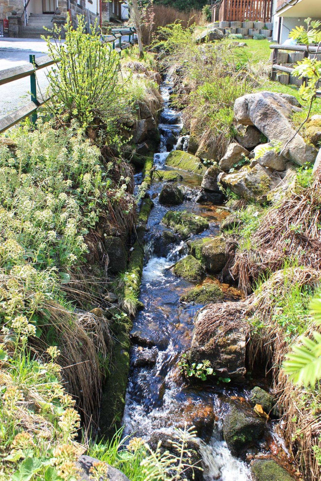 Ferienanlage Zum Wildbach Schierke Εξωτερικό φωτογραφία